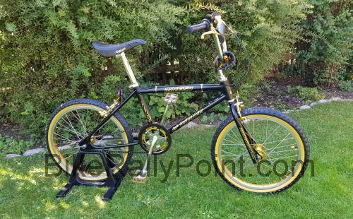 Raleigh Ultra Burner fiche technique et avis